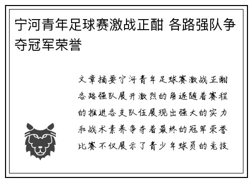 宁河青年足球赛激战正酣 各路强队争夺冠军荣誉