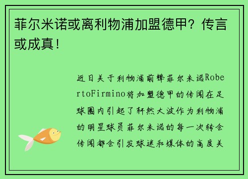 菲尔米诺或离利物浦加盟德甲？传言或成真！