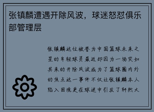 张镇麟遭遇开除风波，球迷怒怼俱乐部管理层