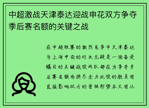 中超激战天津泰达迎战申花双方争夺季后赛名额的关键之战